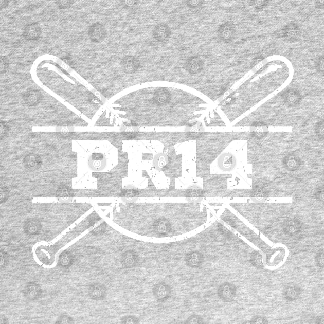 PR14 by jerrysanji